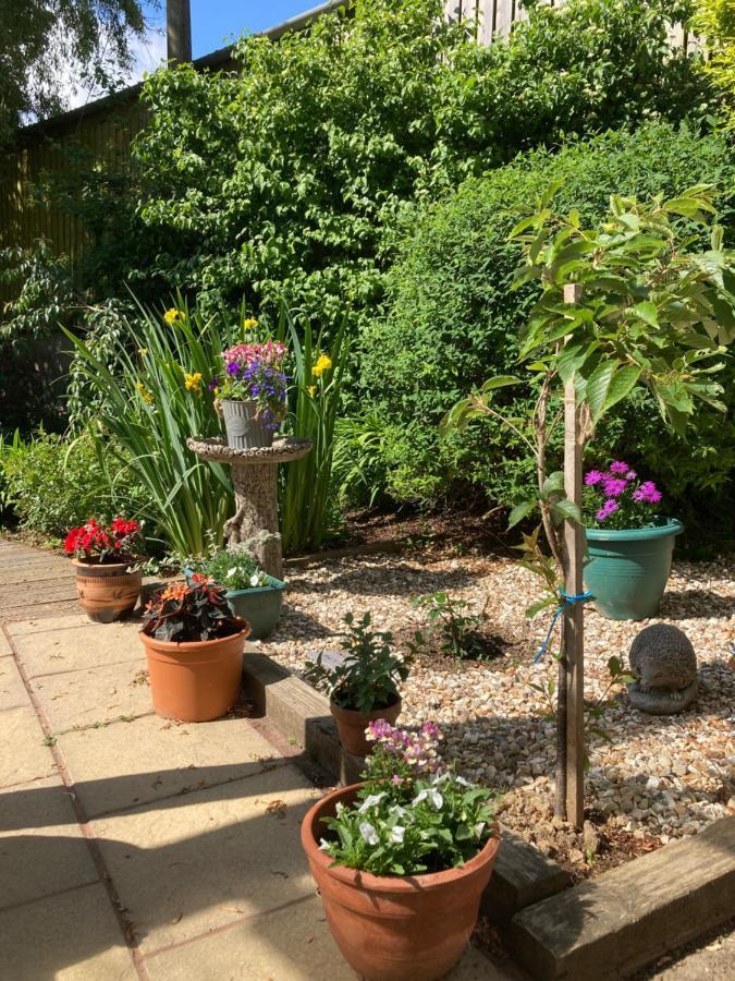 East Hillerton House Guest House Crediton Bagian luar foto