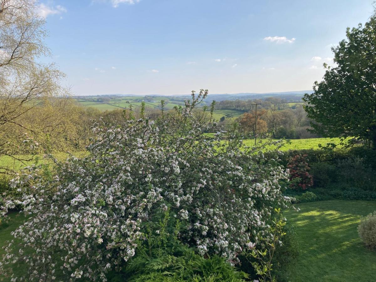East Hillerton House Guest House Crediton Bagian luar foto