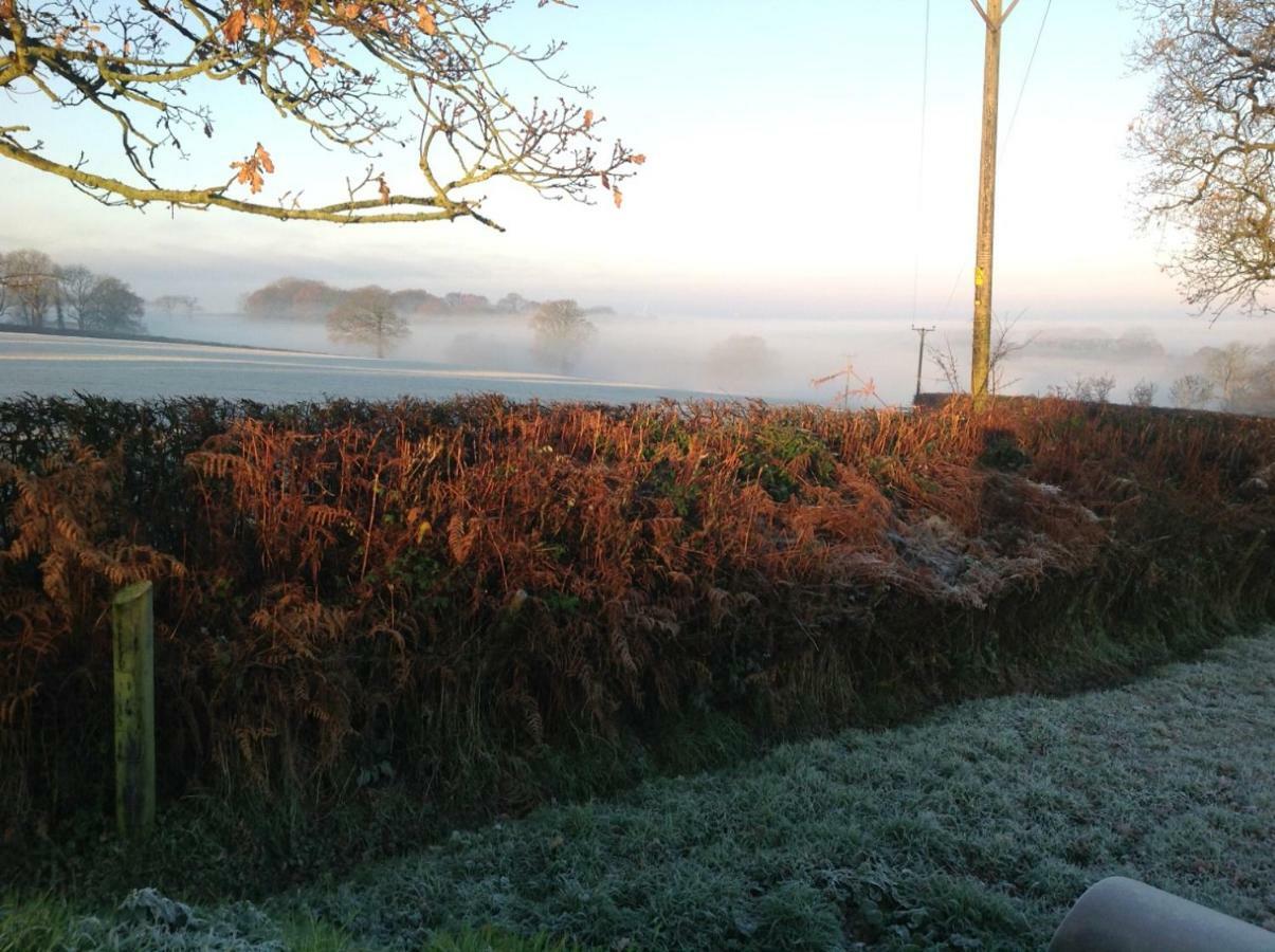 East Hillerton House Guest House Crediton Bagian luar foto