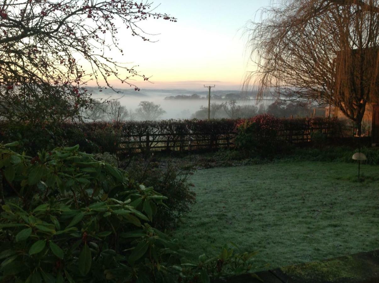 East Hillerton House Guest House Crediton Bagian luar foto