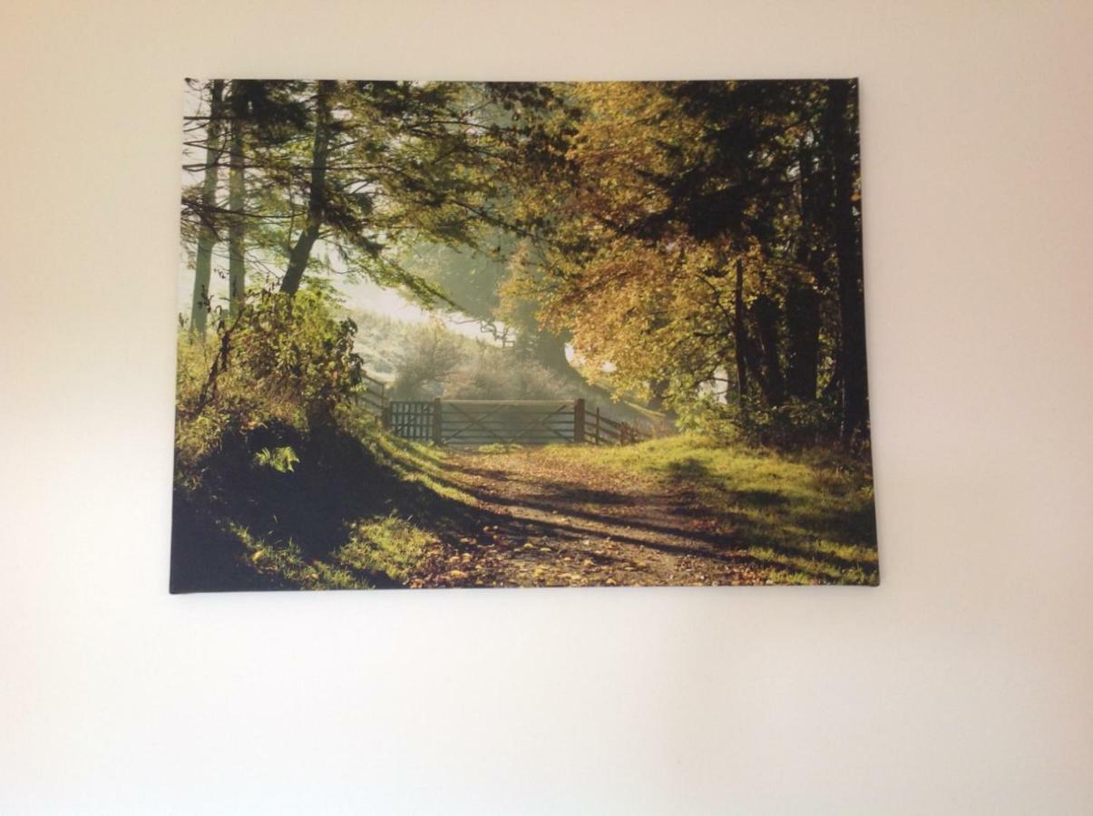 East Hillerton House Guest House Crediton Bagian luar foto