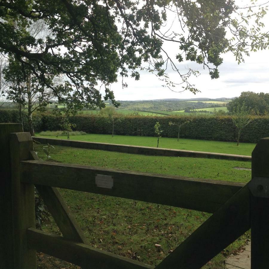 East Hillerton House Guest House Crediton Bagian luar foto