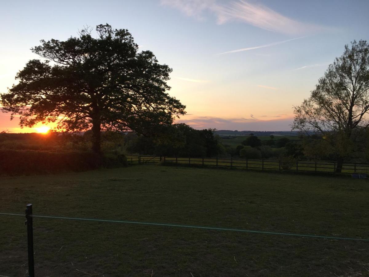 East Hillerton House Guest House Crediton Bagian luar foto